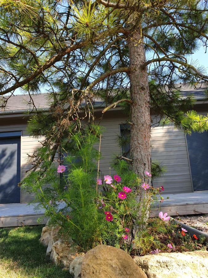 לינה וארוחת בוקר Laubressel Cosy Wood House מראה חיצוני תמונה
